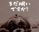 体内時計研究経験者が睡眠衛生相談に乗ります 500円で自分の睡眠を見直してみませんか？（国家資格保持者） イメージ6