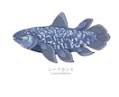 魚のイラストを作成します 魚好きがあなただけのお魚イラストを描きます イメージ3