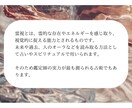 当日◎霊視×ペット占い♡気持ちや悩み2つ鑑定します そのままお聞かせください❀犬猫(アニマル)の気持ち、未来など イメージ4