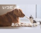 魂のヒーリングを致します どんな内容でも受け止めます。気を楽にお話し下さい♡ イメージ2