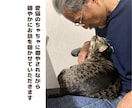 職場の愚痴・モヤモヤ優しく受け止めます 説教ゼロ！61歳のおじさんが否定せず温かいお返事を届けます イメージ2