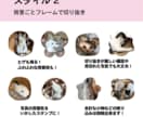ペットのお写真でLINEスタンプを作ります お気に入りの写真をLINEスタンプに！ イメージ3