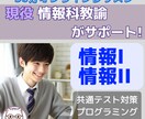 情報I・情報IIを現役情報科教師がサポートします キャリア13年の情報科教員が提供するオンライン家庭教師 イメージ1