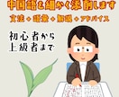 中国語学習者の文章を添削・アドバイスします 日中バイリンガルが文法や語彙を細かくアドバイス！ イメージ1