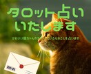 メール鑑定いたします フルデッキ・可愛い猫ちゃんのカードでいろんなことを占います★ イメージ1