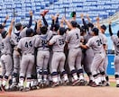野球経験者が道具選び・練習メニューをサポートします 道具選びから練習方法まで、野球経験者があなたの悩みをサポート イメージ3