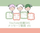 可愛い/シンプル/綺麗目など＊動画編集いたします 大学の映像学部卒＊映像編集の職歴あり＊5分以内3,000円 イメージ1