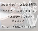 リピーター様専用 MyASPの設定サポートします 30分でサクッと悩み解決 2回目以降のお客様専用 イメージ2