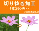 画像切り抜きます 【最短当日作成】画像の切り抜き加工 イメージ1