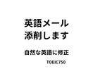英語メールを自然な英語に添削します 英語が不安でも安心。気持ちが自然に伝わる英文に イメージ1