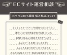 ECサイトに関する質問・悩み相談、承ります スタートアップ・立て直しで差がつく考え方もお教えできます イメージ1