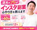 運用のプロがインスタ副業のやり方を教えます 初心者向け｜60分のレクチャーとレジュメ、7日間の質問つき イメージ1