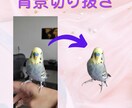 背景切り抜き 3枚で1000円！でご提供します 写真を一瞬で際立たせる！SNS・ビジネスに最適な一枚を。 イメージ2