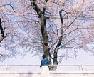 あなたの写真をフィルムの写真のように加工します SNSをもっと楽しく可愛く有効活用してみませんか？ イメージ1