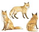 動物イラスト作成します リアルな精密画からデフォルメまで イメージ3