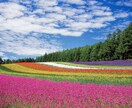 1週間、やり取り無制限で悩み問題のご相談に乗ります ★リーディングと占いをしながら、様々な悩みに対応致します★ イメージ1