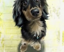 リアルなペットイラスト描きます 犬猫から爬虫類、猛禽類まで何でも! イメージ5