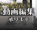 YouTube向けの動画をお作り致します YouTuberのような動画を発信したい方へ イメージ1