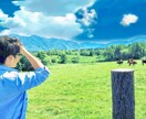 あなたの日常のモヤモヤお聞きします 人間関係の悩み、仕事での愚痴やモヤモヤなんでもお聞きします イメージ1