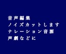 音声のノイズカット、イコライザー調整します 綺麗なノイズ除去を実現します！ イメージ1