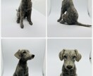 羊毛フェルトで作るリアルな犬の制作方法になります 愛犬さんを羊毛フェルトで作ってみませんか？ イメージ10