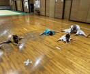親子でできる運動、護身術など一緒にします 理学療法士で少林寺拳法の先生が分かりやすく伝えます イメージ3