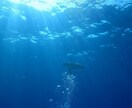 様々な悩みを聴きます 私はADHDなんで、弱者の気持ちは他人より理解できます。 イメージ1