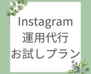 お試しプラン！インスタグラム運用代行します 運用代行したいけど・・・という方！まずはお試しでどうですか？ イメージ1