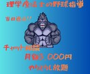 理学療法士が投球動作指導をします 動作分析し、怪我予防、パフォーマンスアップを目指します。 イメージ1