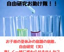 夏休みの自由研究のお手伝いします 自由研究のまとめ方や内容が分からなくて困っている方へ イメージ1