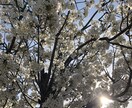 夫への愛を失いかけている人をサポートします 自己肯定感を高めながら今後どうするか考えるお手伝いをします。 イメージ1