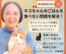 有資格者|愛猫のごはん食べない問題解決します 元ペットショップ店員×ペットフーディストが個別アドバイス！ イメージ1