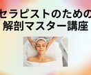 フェイシャルの解剖学教えます セラピストのための 解剖マスター講座・フェイス・ヘッド編 イメージ1
