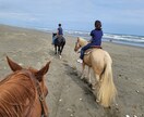 乗馬の動画撮影〜データ送付します 〜自分の騎乗姿勢の見直しに〜馬と仲良くなりましょう♪ イメージ3