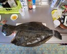 サーフで誰でも簡単にヒラメを釣る方法を教えます ヒラメを誰でも簡単に釣る方法を教えます。（サーフ） イメージ3