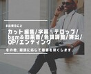 PR・YouTube・インタビュー動画編集承ります 視聴者をアッと言わせる動画をお手軽価格で提供24時間対応 イメージ3