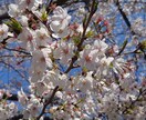 お悩み何でもお聞きします クスッと笑える毎日を貴方にとどける イメージ2
