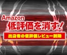 Amazonの出店者の低評価削除依頼文章を考えます たとえ、出店者側に落ち度があっても一度相談してください！ イメージ1