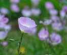 人知れず頑張っているあなたのことを褒めます 誰も認めてくれない！そんな不満をぶつけて下さい。 イメージ3