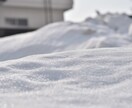 各種SNS向け！札幌の動画素材撮影します 札幌在住だから撮れる！リアルで魅力的な動画素材を提供 イメージ1