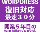 WORDDPRESSのエラー復旧対応致します 最短30分程で対応可能です！エラー・不具合復旧 イメージ1