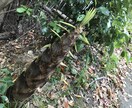 現在の恋愛での悩みの結果を善き方向に変えます 恋愛の苦しさは、本当に辛く、考え方を間違えれば心身蝕みます。 イメージ4