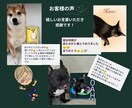 写真をもとにリアルなイラストでカタチにします 贈って、飾って、心ほどける癒しの時間を（＾◇＾） イメージ7