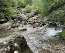 和歌山県のバス釣りポイント教えます 和歌山県の知りたいポイントお教えします。 イメージ1