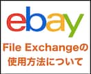 File Exchangeの使用方法をおしえます ebayのもっとも早い出品方法です！ イメージ1