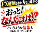 FXとは別の収入の作り方を教えます 国内でのトレード資金が足りない？ 相場以外にも方法はあります イメージ3