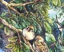 鮮やかでかわいい動物のイラスト制作を承ります お好きな動物や飼われてるペットを可愛らしく仕上げます！ イメージ4