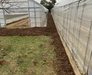 20代農家が一緒に考える家庭菜園ます 現役で有機農業をやってる農家があなたの作物のお医者さんに！ イメージ2