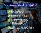 TikTok広告用ショート動画を制作します 構成から対応！縦型広告動画もおまかせ イメージ3