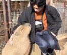 29歳にして壮絶人生☘️だからこそ受止めます 【実話】AV男優、結婚3ヶ月で離婚、パワハラで肋骨骨折‼️ イメージ2